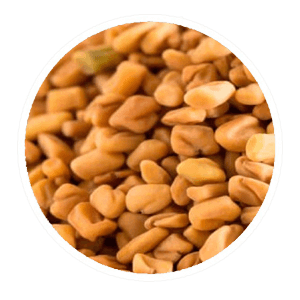 fenugreek